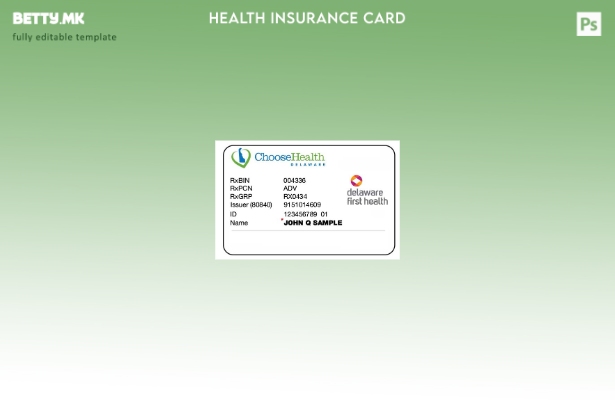 Модерен стил Шаблон за здравствено осигурување во Делавер